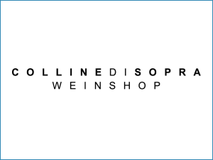 Magento SEO für einen Onlineshop in der Schweiz Magento SEO Schweiz