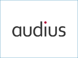 Keyword-Recherche vom SEO-Freelancer für Audius, Weinstadt