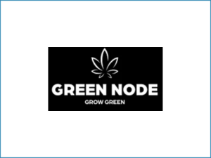 Shopify SEO Betreuung Green Node