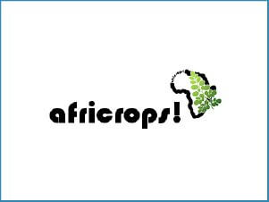 WooCommerce Webdesign Beratung für Africrops New York