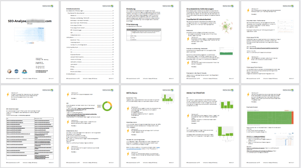 SEO-Analyse 2021 Auszug