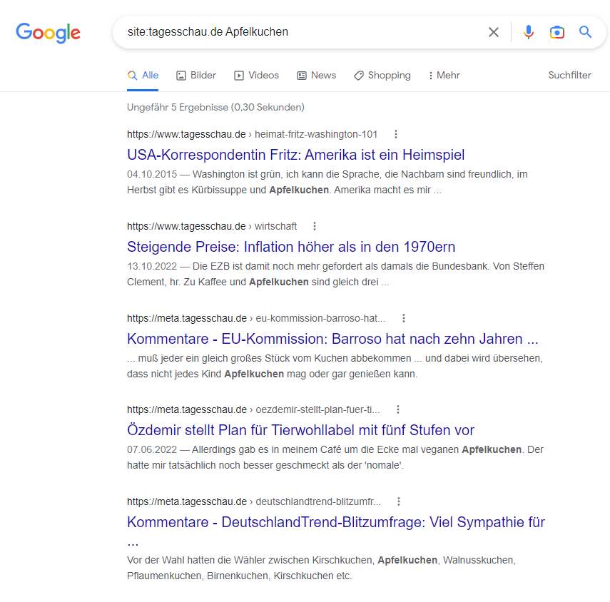 Gesamte Website durchsuchen mit Google