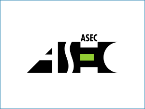 SEO Betreuung vom Freelancer für ASEC, Koblenz